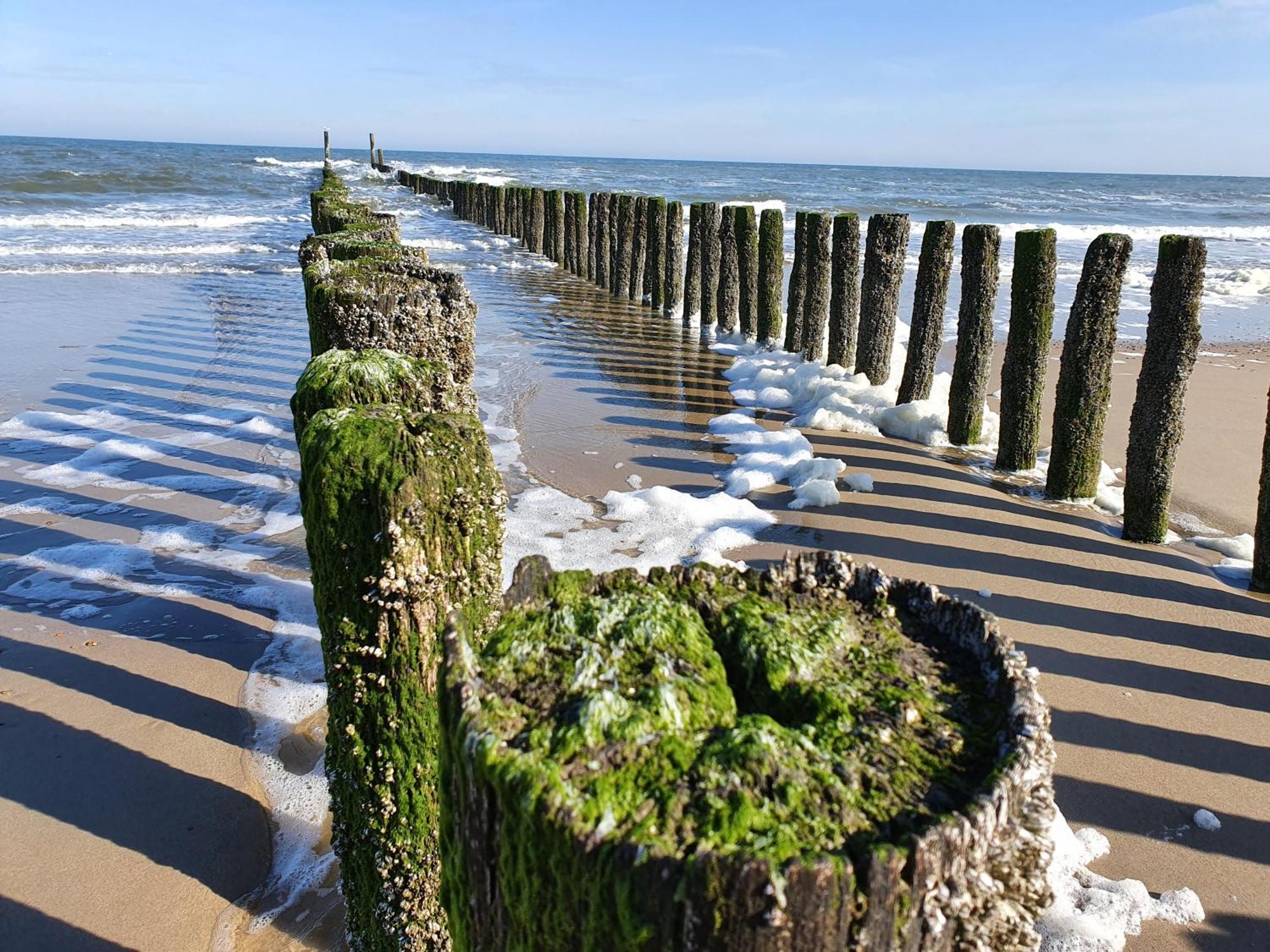 Studio Aan Zee Oostkapelle Szoba fotó